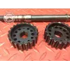 Poulie de distribution avec axe Ducati 1262 XDiavel S 2016 à 2024