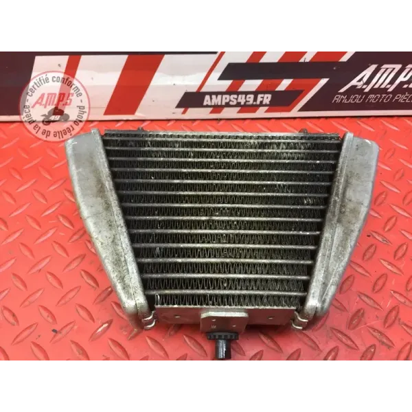 Radiateur d'huile Ducati 1262 XDiavel S 2016 à 2024