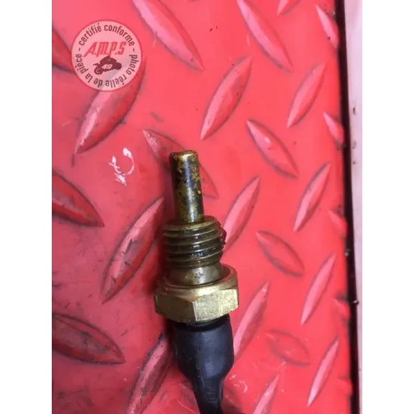 Sonde de température d'eau Ducati 1262 XDiavel S 2016 à 2024