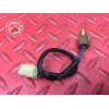 Sonde de température d'huile Ducati 1262 XDiavel S 2016 à 2024