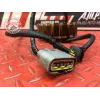 Stator alternateur Ducati 1262 XDiavel S 2016 à 2024