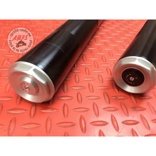 Paire de tube de fourche Ducati 1262 XDiavel S 2016 à 2024