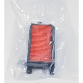 FILTRE A L AIR (14 5 CM X 7 CM)