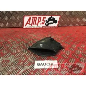 Plastique de ram air gaucheR107AM-683-QKB4-F1709497used