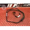 Cable de batterie Ducati 1200 Multistrada S 2010 à 2012