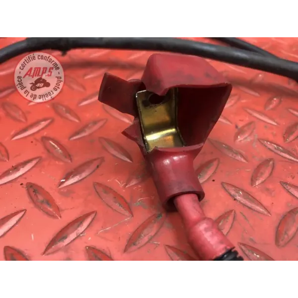 Cable de batterie Ducati 1200 Multistrada S 2010 à 2012