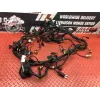 Faisceau électrique principale Ducati 1200 Multistrada S 2010 à 2012