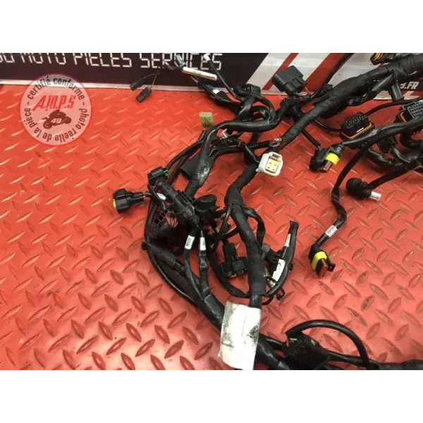 Faisceau électrique principale Ducati 1200 Multistrada S 2010 à 2012
