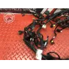 Faisceau électrique principale Ducati 1200 Multistrada S 2010 à 2012