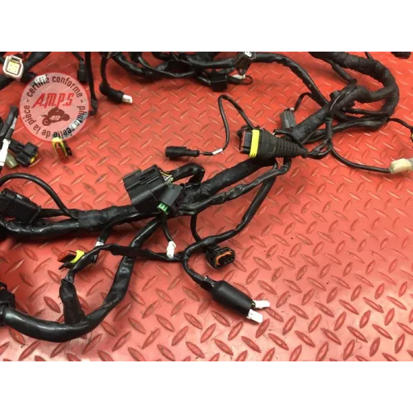 Faisceau électrique principale Ducati 1200 Multistrada S 2010 à 2012