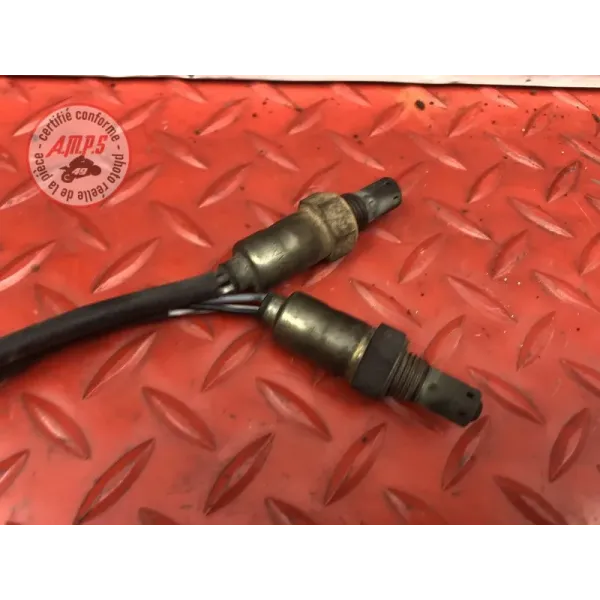 Sonde lambda Ducati 1200 Multistrada S 2010 à 2012