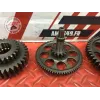 Pignon moteur Ducati 1200 Multistrada S 2010 à 2012