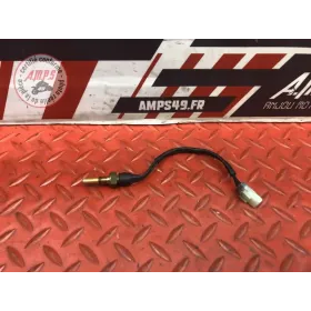 Sonde de température d'eau