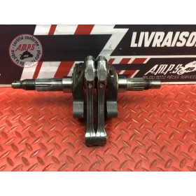 Vilebrequin avec bielles