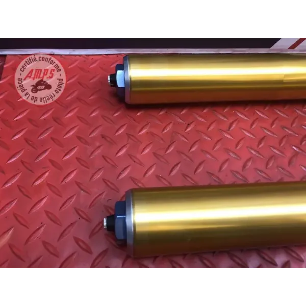 Paire de tube de fourche Ducati 1200 Multistrada S 2010 à 2012