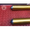 Paire de tube de fourche Ducati 1200 Multistrada S 2010 à 2012