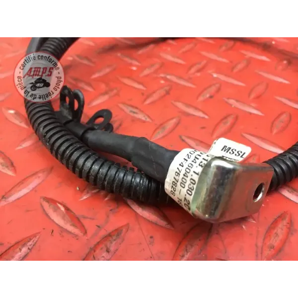 Cable de masse Ducati 1260 Multistrada Enduro 2019 à 2021