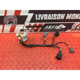 Faisceau d'injection Ducati 1260 Multistrada Enduro 2019 à 2021
