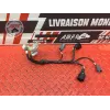 Faisceau d'injection Ducati 1260 Multistrada Enduro 2019 à 2021