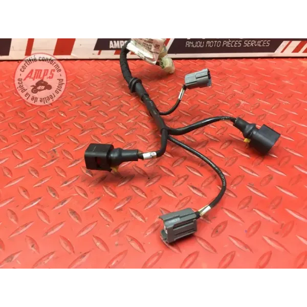 Faisceau d'injection Ducati 1260 Multistrada Enduro 2019 à 2021