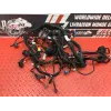Faisceau électrique principale Ducati 1260 Multistrada Enduro 2019 à 2021