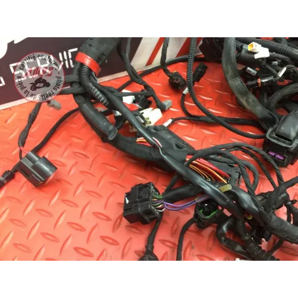 Faisceau électrique principale Ducati 1260 Multistrada Enduro 2019 à 2021