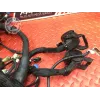 Faisceau électrique principale Ducati 1260 Multistrada Enduro 2019 à 2021