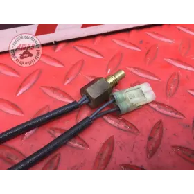 Sonde de température d'eau 