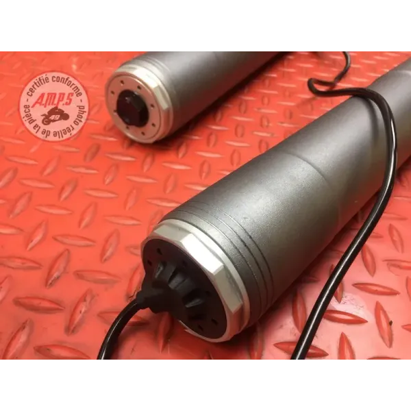 Paire de tube de fourche Ducati 1260 Multistrada Enduro 2019 à 2021