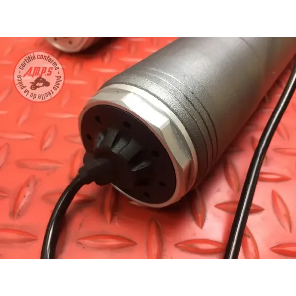 Paire de tube de fourche Ducati 1260 Multistrada Enduro 2019 à 2021