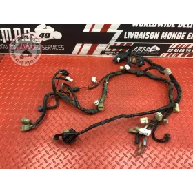 Faisceau électrique principale Yamaha FZ6 Fazer 2004 à 2006