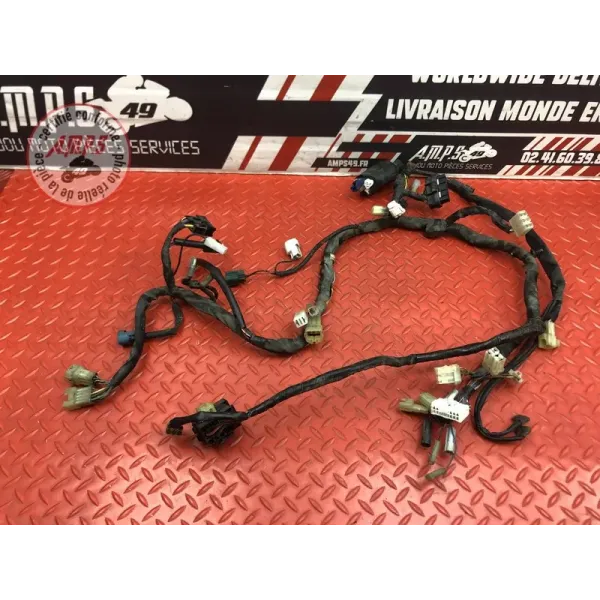 Faisceau électrique principale Yamaha FZ6 Fazer 2004 à 2006