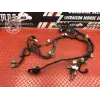 Faisceau électrique principale Yamaha FZ6 Fazer 2004 à 2006