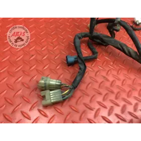 Faisceau électrique principale 