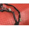 Faisceau électrique principale Yamaha FZ6 Fazer 2004 à 2006