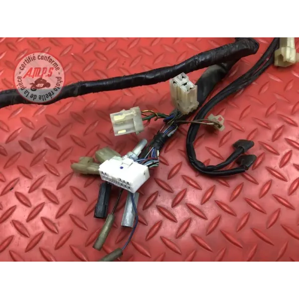 Faisceau électrique principale Yamaha FZ6 Fazer 2004 à 2006
