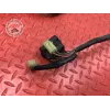 Faisceau électrique principale Yamaha FZ6 Fazer 2004 à 2006