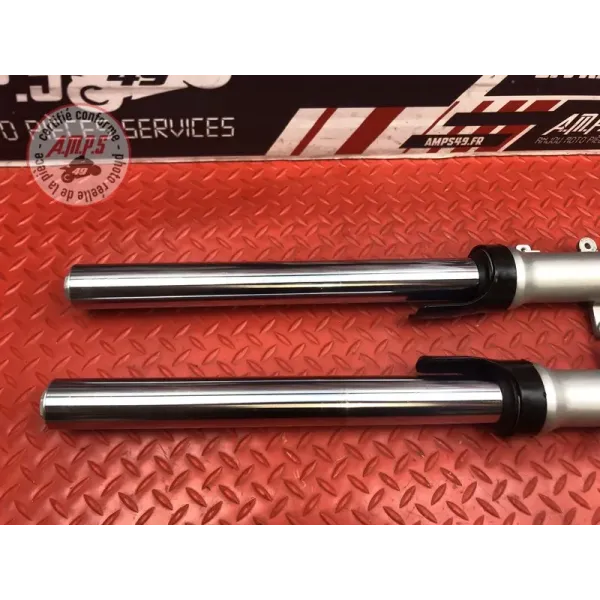 Paire de tube de fourche Yamaha FZ6 Fazer 2004 à 2006
