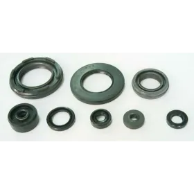 Jeu de joints spi moteur TOURMAX