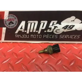 Sonde de température d'eau 