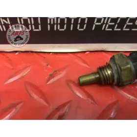 Sonde de température d'eau 