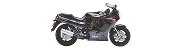 1000 RX