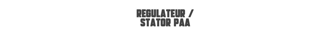 REGULATEUR / STATOR PAA