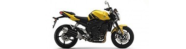 FZ1