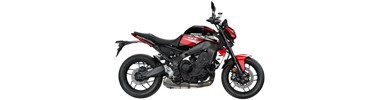 MT 09