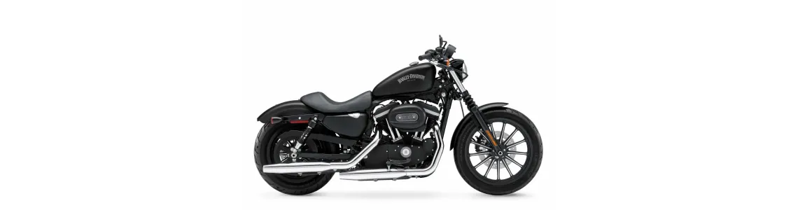 XL 883 R Sportster