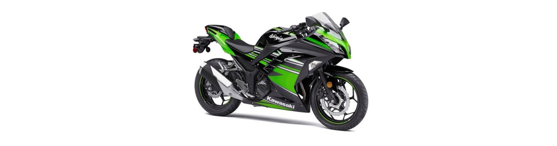 NINJA 300