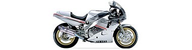 1000 FZR