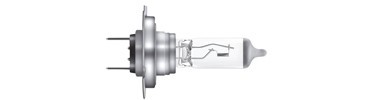 AMPOULES