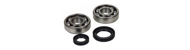 ROULEMENTS & JOINTS MOTEUR
